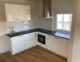 Renovatiewoningen